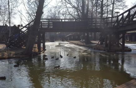 Spreewaldhaus zum Schoberplatz - Foto 22