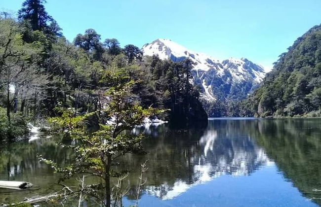 Cabana En La Pradera Lindo Paisaje En Pucon - Foto 15