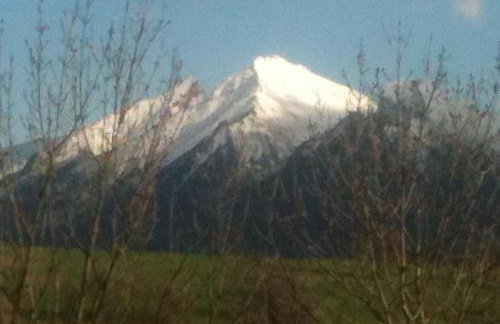 Nowe Miejsce Brzegi - Foto 20