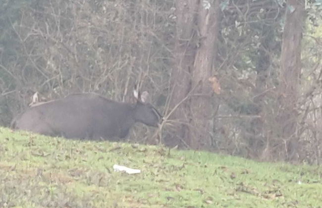 Bon Sejour Ooty Hill View Resort & Hotel - Foto 13