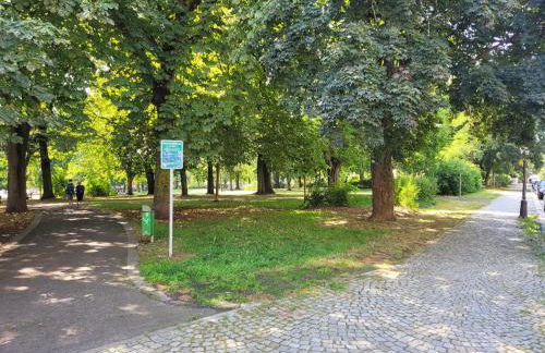 Schloßchemnitz No 42 Bergstr - Foto 40