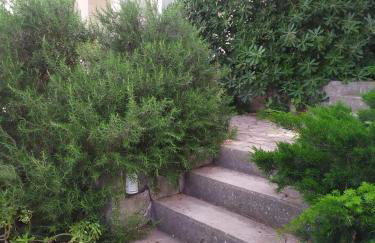 Cozy Jelsa apartment in the shade of the pines. - Foto 29