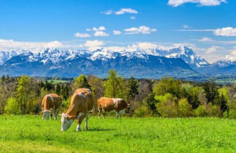 Bergjuwel in Bichl 120qm - Foto 15