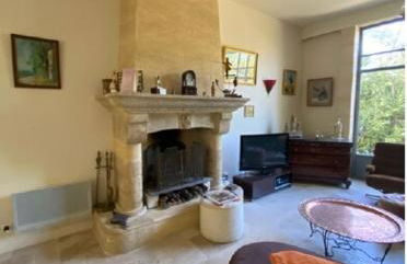 Château de Livière - Photo 7