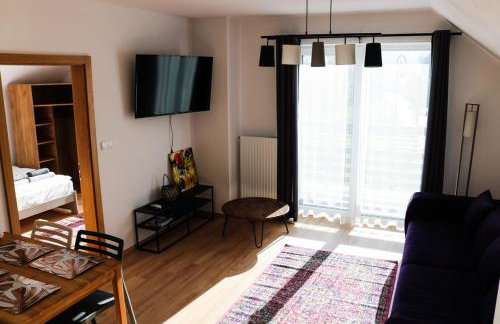 Willa VITA Muszyna - rodzinne apartamenty blisko natury i atrakcji - 15min pieszo do centrum - 15min autem do stoku - Foto 30