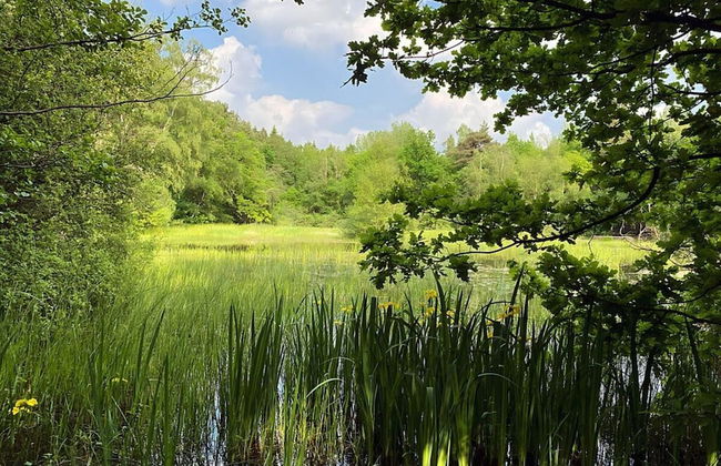 Appealing Apartment in Westerstede - Foto 11