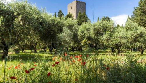 Torre dei Belforti - Foto 5