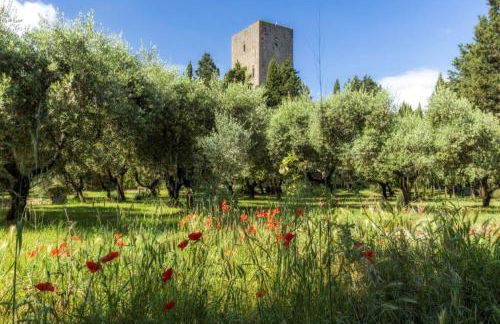 Torre dei Belforti - Foto 5