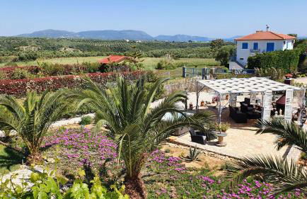 Villa Finiki Messinia upstairs - Photo 9