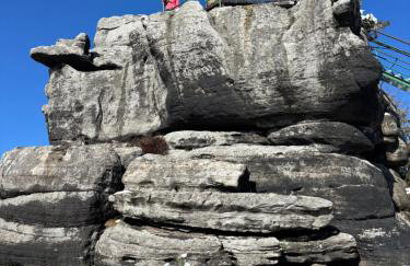 Wiśniowy Sad - Foto 71