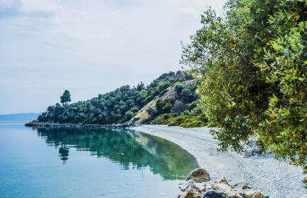 Penelope's Blue Sea Front Residenses - Foto 20