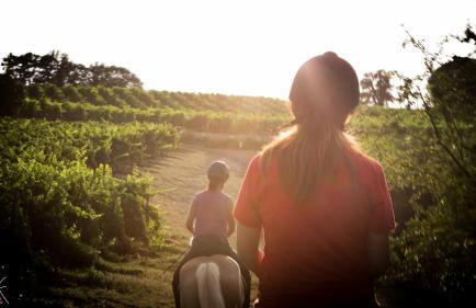 Podere dell'Anselmo - Foto 158