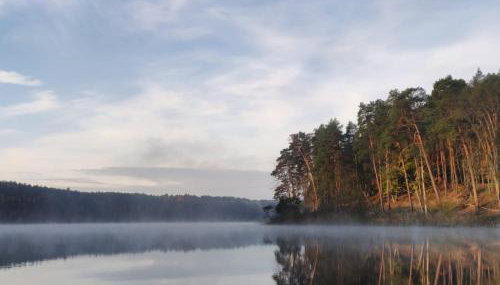 JZ Guest Ranch - Foto 5