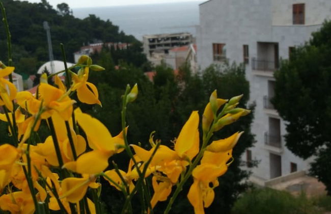 Apartments Jovanovic - Foto 67