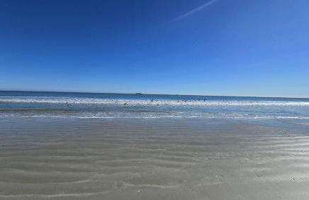 Royal Mansions Beach Front Vacation - Foto 37