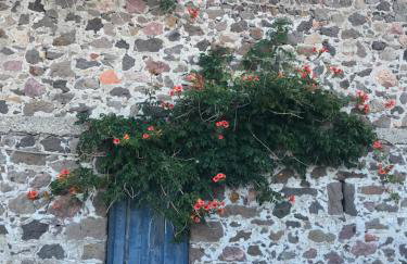 Koralia Summer House - Foto 37