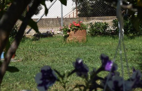 Mina Apartments - Foto 22