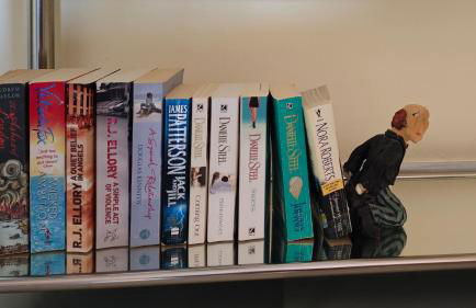 Flamenco Rose - Photo 26