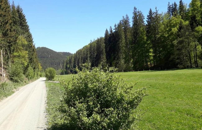 Apartment Near Willingen & Winterberg Ski Slopes - Photo 36