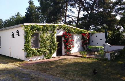 Ferienhäuschen - Foto 1