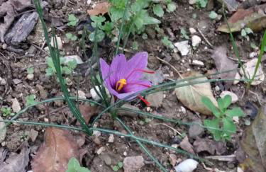 Agriturismo Il Melo - Foto 17