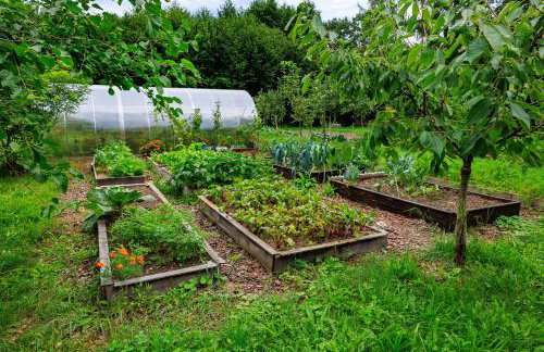 Zielona Zagroda Agnieszka Połeć - Foto 34