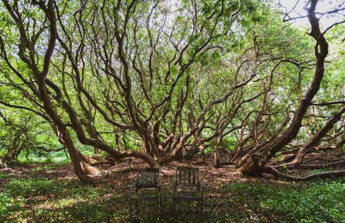 Catchfrench Manor - Foto 11