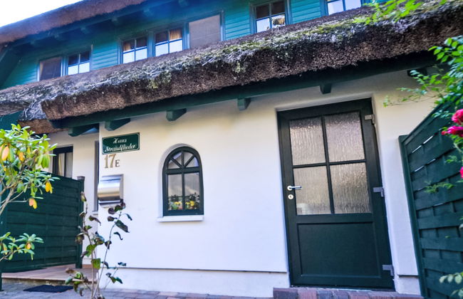 Strandflieder - Foto 22