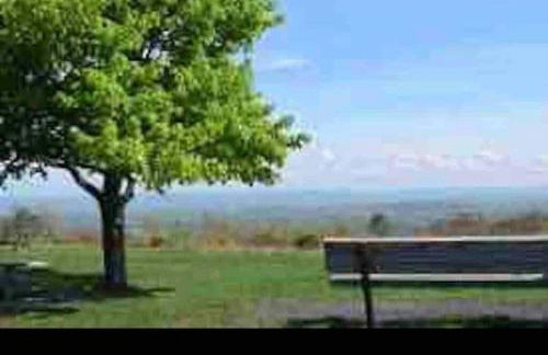 Just renovated Camelback SKI-ON/OFF,SNOW TUBING,PAINTBALL - Foto 16