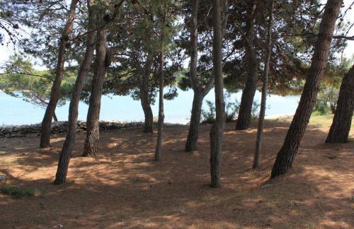 Family friendly seaside apartments Ugljan - 828 - Foto 8