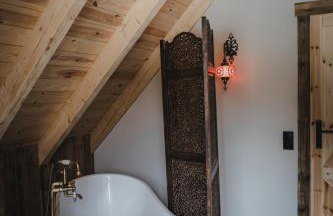 Mech i brzoza - Foto 35