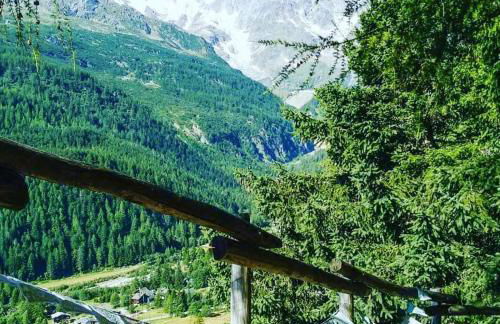 Coccinella House - Foto 21