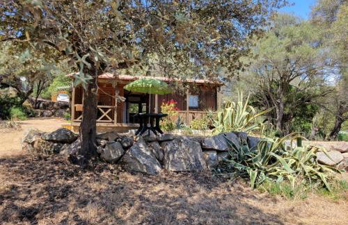 Chalet Cosy - U Nestru - Foto 2