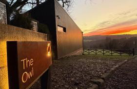 The Owl - Foto 2