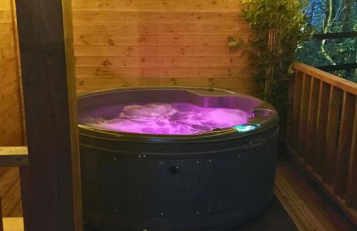 Bears House - Foto 5