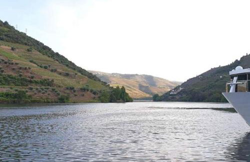 Casa Rodrigues - Foto 47