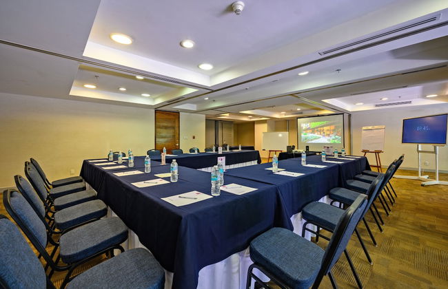 Las Suites Campos Eliseos - Foto 73