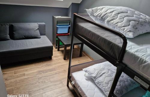 Kaszuby Punkt Klonowo Przywidz sauna klima basen - Foto 78