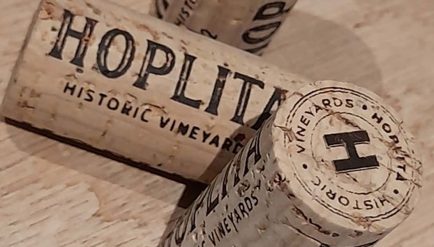 Learn what makes this winery unique in La Rioja