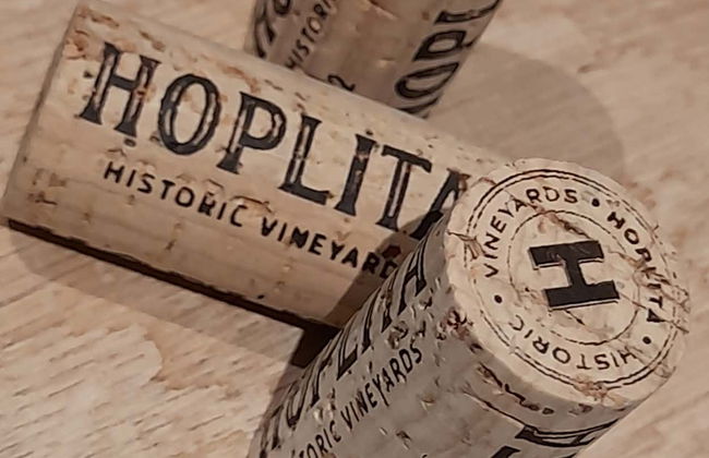 Tour of Hoplita Winery - Photo 4