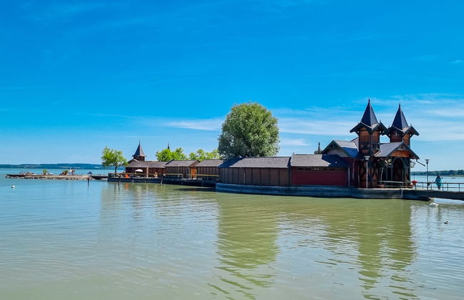 The Bird of Happiness-heaven for Dogs - Foto 18