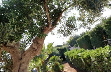 Il Corallo - Foto 36