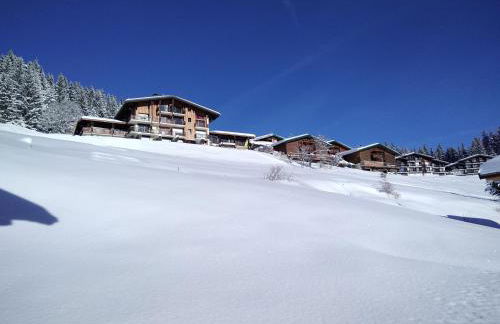 Demi Chalet Le LACHAT - Photo 46