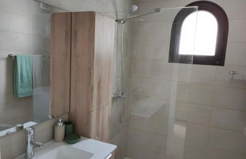 Flor De Cactus - Foto 15