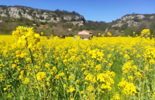 Les quatre chênes - Foto 33