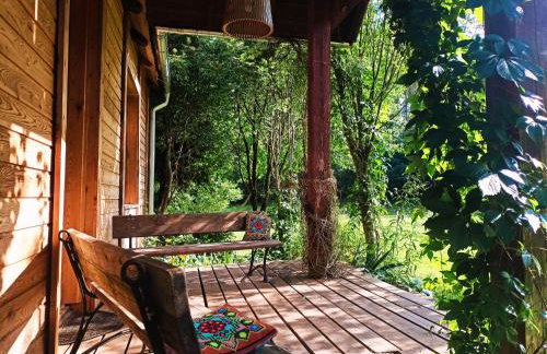 Butterfly Factory - Foto 7