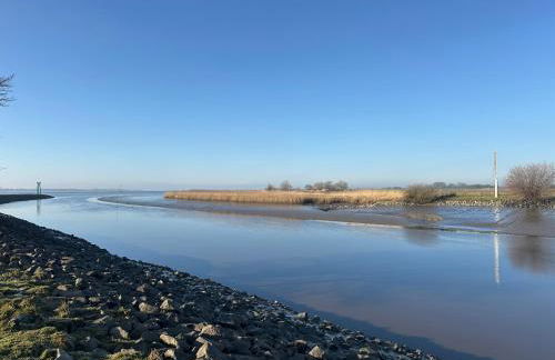 Reetdachkate am Deich - Photo 44