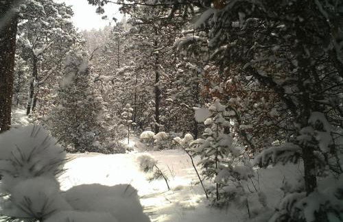 Old Raton Pass Base Camp Cabin with Loft Northern New Mexico Mountain Ranch on Colorado Border cabin - Foto 21