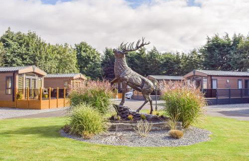 Riverside Lodge - Photo 24