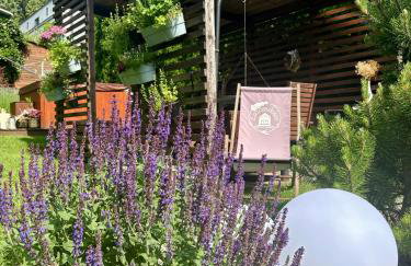 Lawendowo- sauna, jacuzzi, domki w ogrodzie i apartamenty w kamienicy - Photo 5